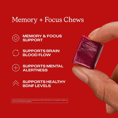 HumanN Memory and Focus Chews, Brain Supplement for Mental Alertness with Beet Root Powder, Clinically Studied Nootropics, Resveratrol Plus Beet Root Powder, Blueberry Pomegranate Flavor, 30 Count