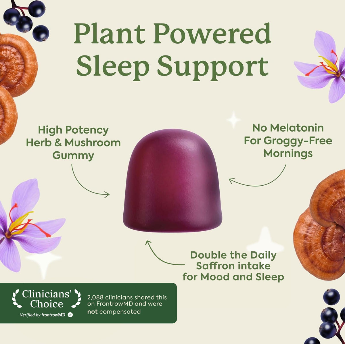 Plant People WonderSleep Mushroom Gummies Supplement for Sleep, 60ct