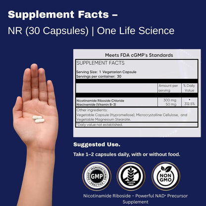 Ageless NAD+ Supplements for Women & Men | Nicotinamide Riboside Chloride | Dietary Supplement for Anti-Aging | Supports Energy, Focus, Stamina, Fat Metabolism & Cognitive Function – 30 Capsules