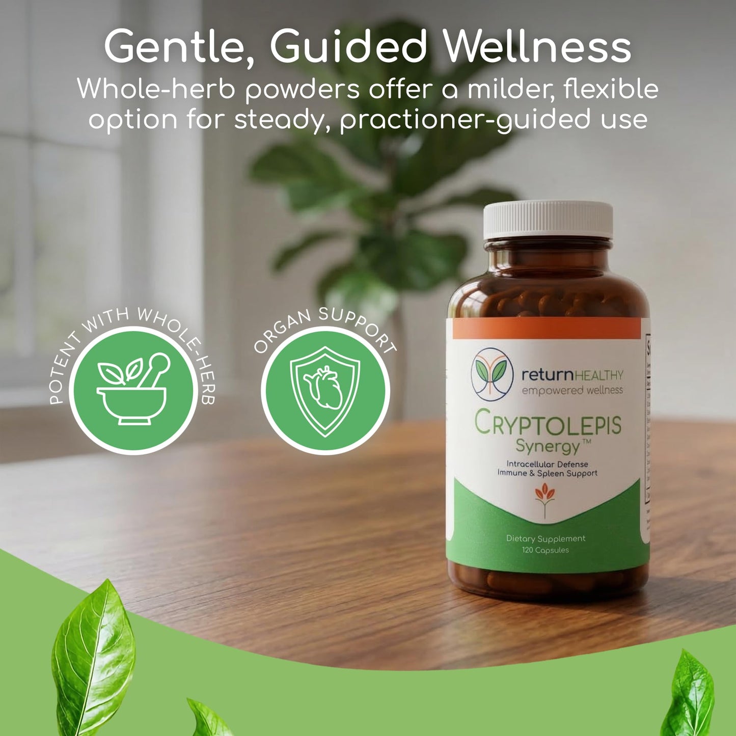 Cryptolepis Synergy, Immune Support Vitamins, Immune System Booster for Adults, Liver, Lymphatic, & Immune Support Supplement, Supports Lyme & Natural Parasite Defense, 120 Capsules