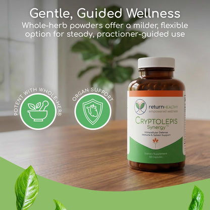 Cryptolepis Synergy, Immune Support Vitamins, Immune System Booster for Adults, Liver, Lymphatic, & Immune Support Supplement, Supports Lyme & Natural Parasite Defense, 120 Capsules