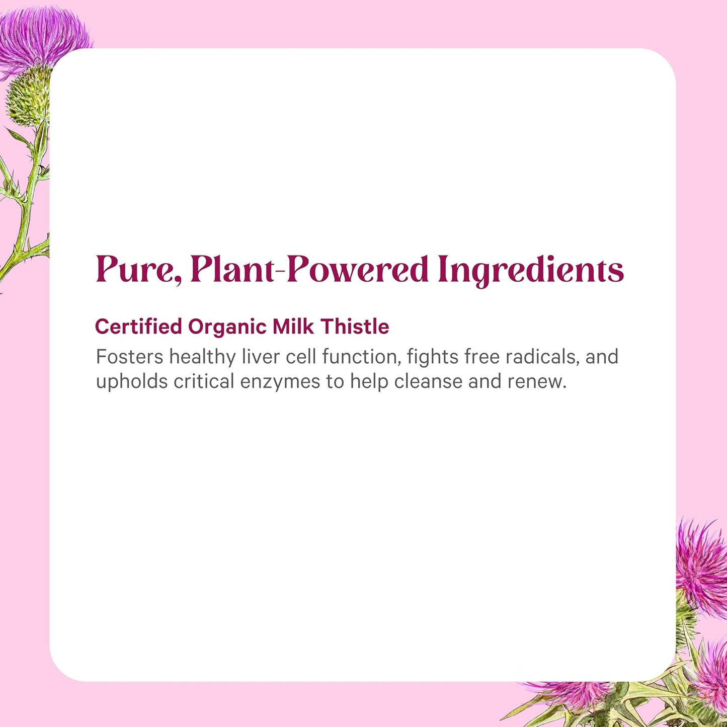 PURE SYNERGY SuperPure Milk Thistle Extract | Liver Detox and Cleanse Supplement | Organic Milk Thistle Extract with Silymarin | for Healthy Liver Support (60 Capsules)