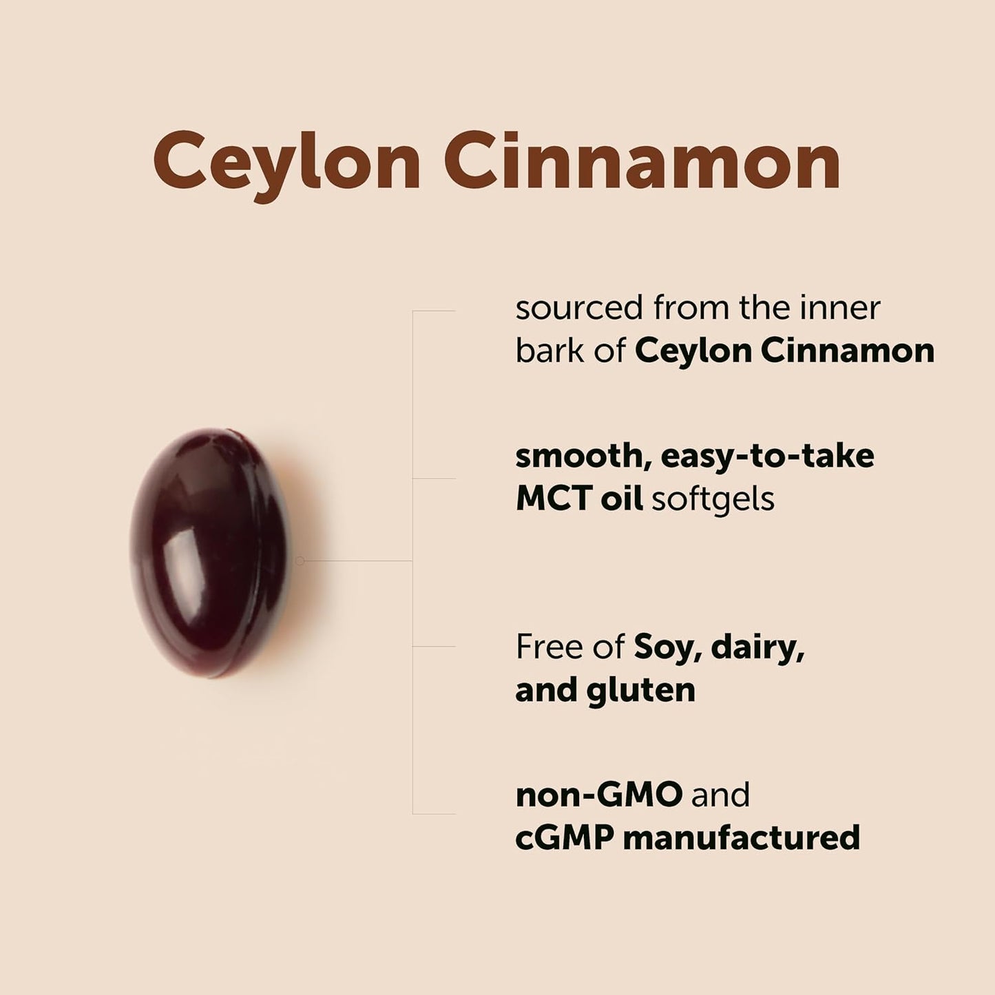 Micro Ingredients Ceylon Cinnamon, 300 Softgels | Cinnamon Supplements with MCT Oil | Non-GMO, Gluten Free