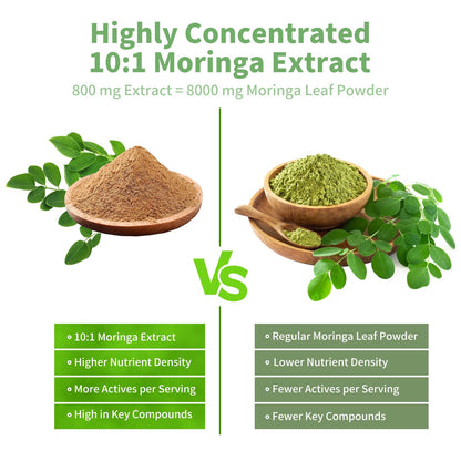 Moringa Capsules 800 mg Moringa 10:1 Extract – Vegan, Non-GMO, Gluten Free Superfood Supplement for Energy & Immune Health – 120 Capsules (1 Bottle)
