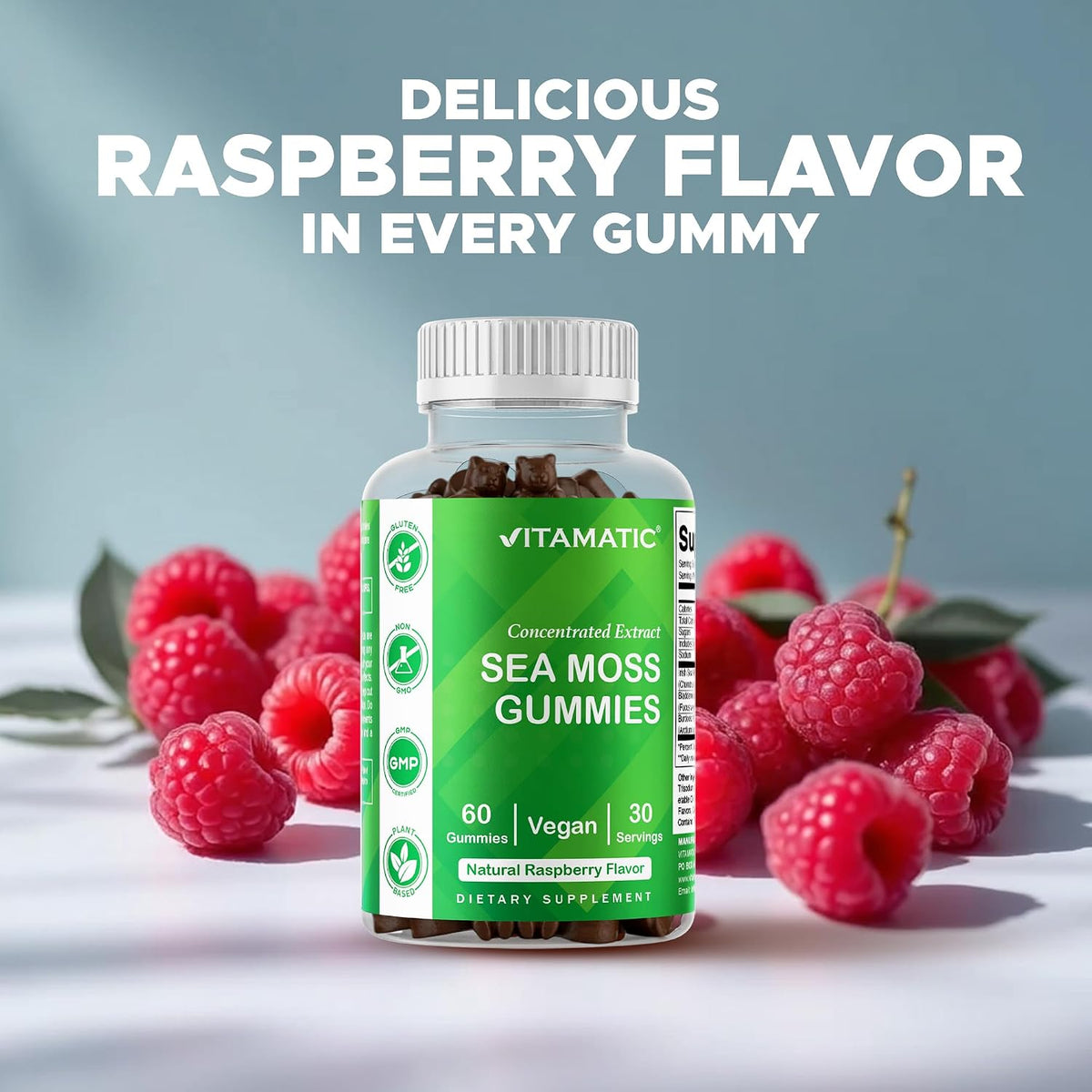 Vitamatic Sea Moss Gummies with Bladderwrack & Burdock, 60 Gummies | Premium Botanical Blend for Immune Support*, Natural Raspberry Flavor, Vegan, Non-GMO, Gluten Free.