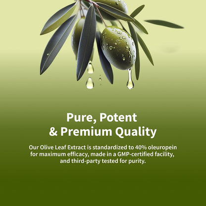 Snap Supplements Olive Leaf Extract with Oleuropein, 60 Capsules | Standardized to 40% Oleuropein, Antioxidant-Rich, Supports Blood Flow & Healthy Digestion