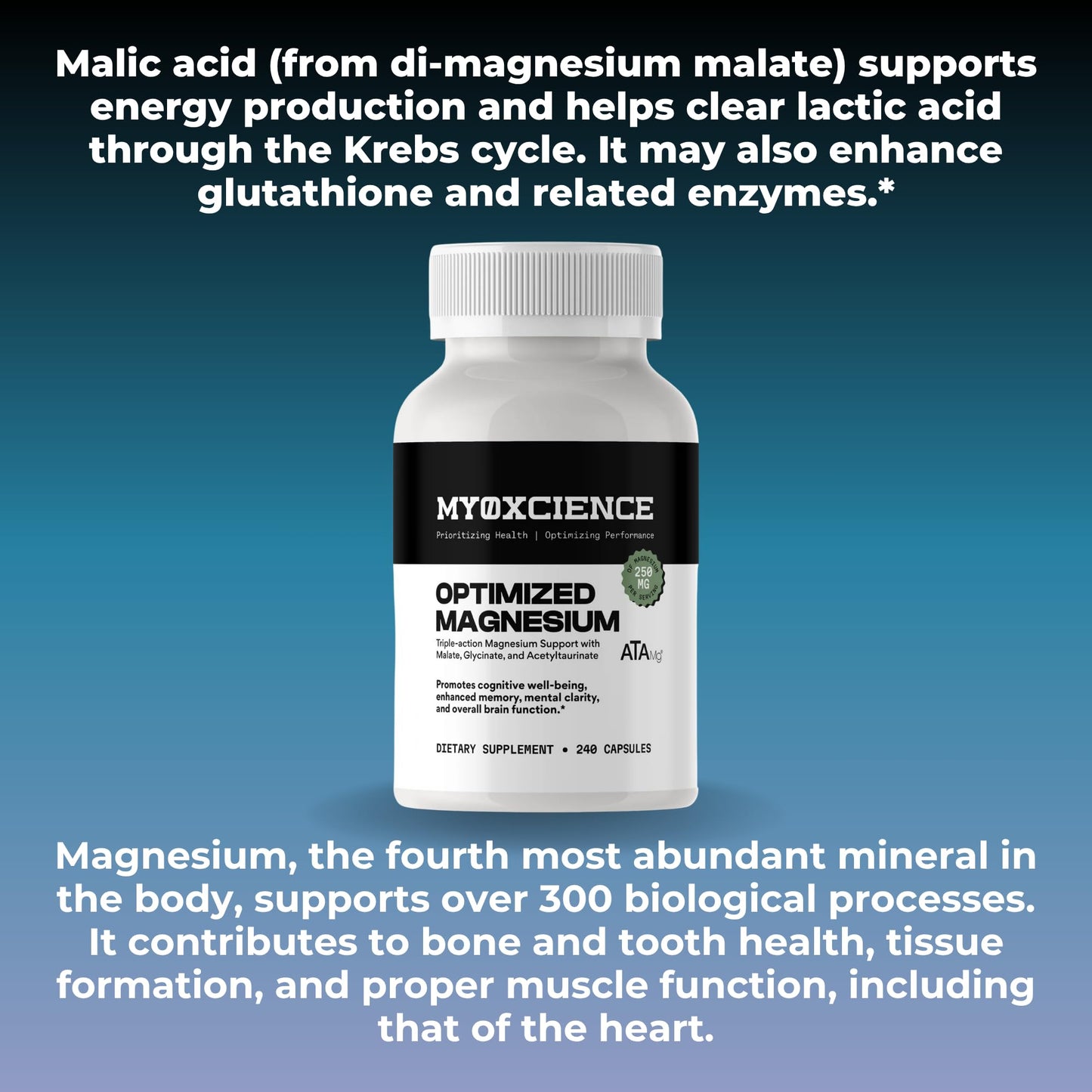 MYOXCIENCE Optimized Magnesium Glycinate + Magnesium Taurate (as ATAmag®) for High Brain Bioavailability to Support Stress Relief and Sleep | 30 Servings