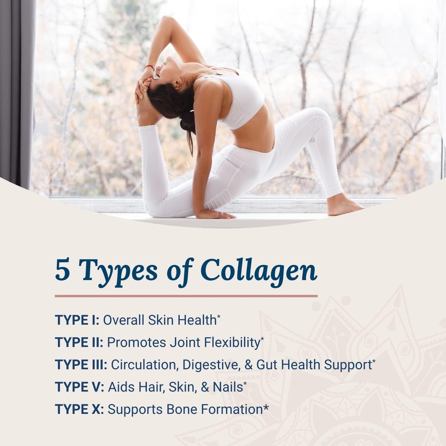 Live Conscious Beyond Collagen Powder & Beyond Hormone | Hair, Skin, Nail, and Joint Support + Promotes Healthy Estrogen Balance for Women