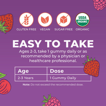 MaryRuth's Toddler Multivitamin Gummies | USDA Organic | 2 Month Supply | Kid & Toddlers Age 2+ Daily Multivitamin: Vitamin C, D3, Zinc | Kids Vitamins | Only 1 Gummy Per Day | 60 Ct (60 Day Supply)