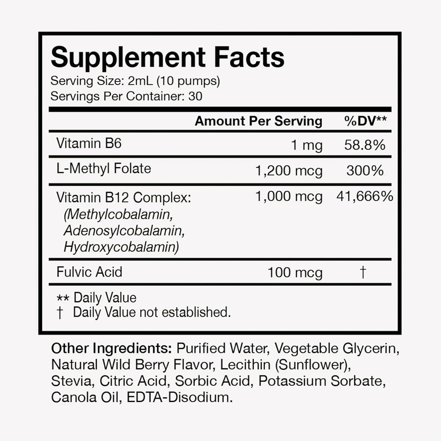 Terra Health Essentials - Liposomal B12 | Support Energy & Mood, Promote Memory, Aid Immune System (1 Bottle, 30 Day Supply)