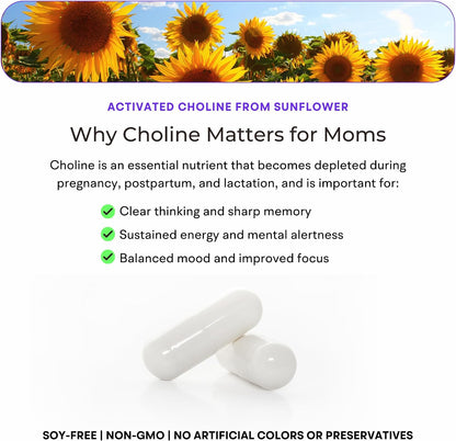 Mommy Brain Postnatal Supplement (60 Capsules) for Cognitive Health, Mood, Energy with GPC and CDP Choline, Phosphatidylserine, Omega-3 DHA