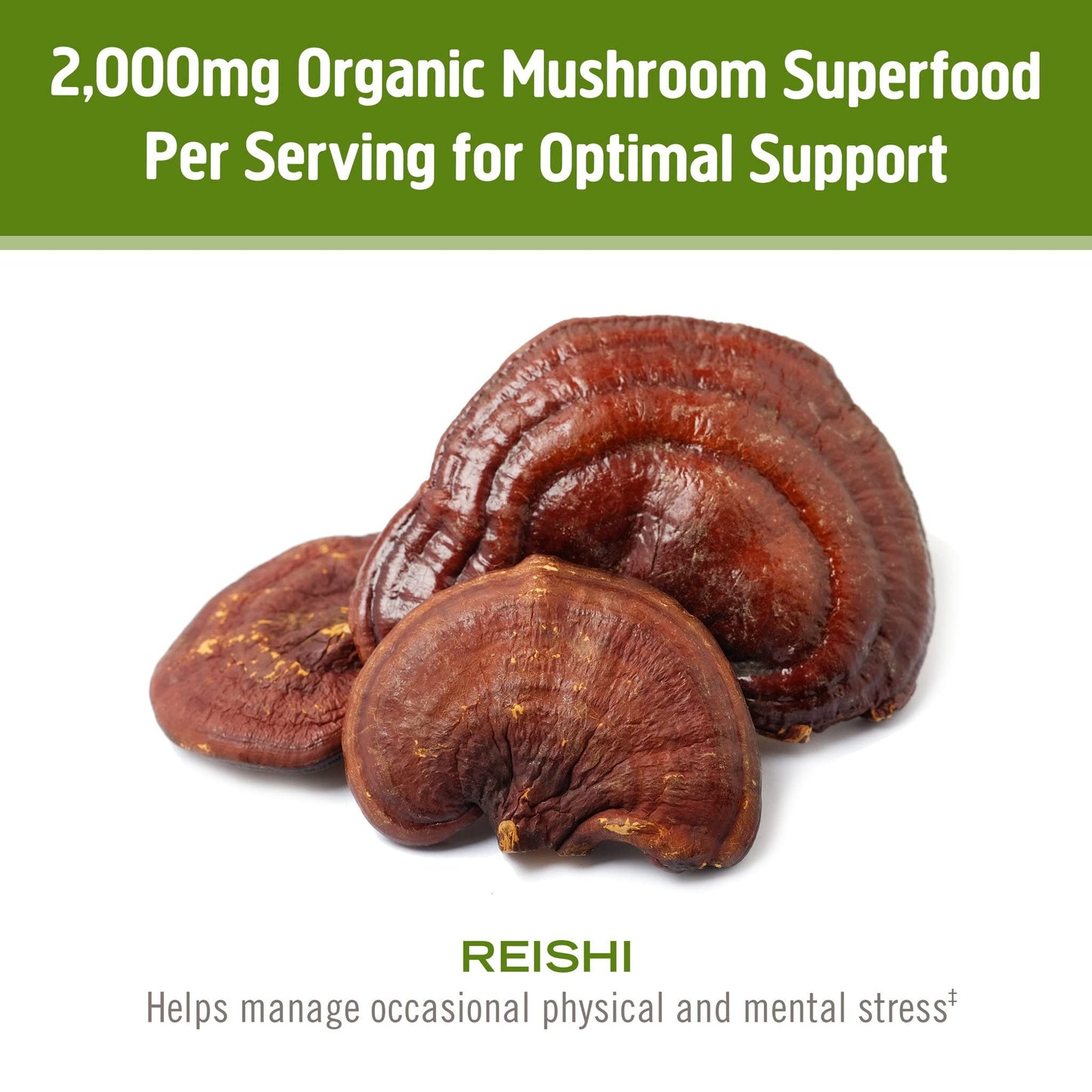 Om Mushroom Superfood Reishi Organic Mushroom Powder, 100 Servings, Organic Adaptogen Powder for Stress Relief and Immune Health