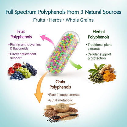(120 Count) Polyphenols Supplement 1500mg – Over 20 Fruit, Herbal & Cereal Full Spectrum Polyphenol Complex with Resveratrol, Grape Seed & Green Tea – Tri-Color MicroBeadlets – Powerful Antioxidant