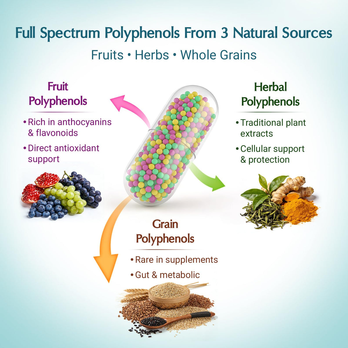 (120 Count) Polyphenols Supplement 1500mg – Over 20 Fruit, Herbal & Cereal Full Spectrum Polyphenol Complex with Resveratrol, Grape Seed & Green Tea – Tri-Color MicroBeadlets – Powerful Antioxidant