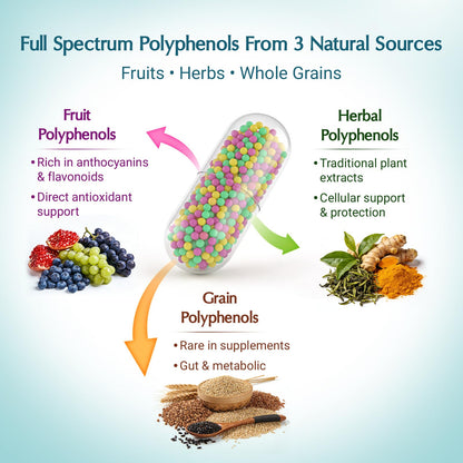 (120 Count) Polyphenols Supplement 1500mg – Over 20 Fruit, Herbal & Cereal Full Spectrum Polyphenol Complex with Resveratrol, Grape Seed & Green Tea – Tri-Color MicroBeadlets – Powerful Antioxidant