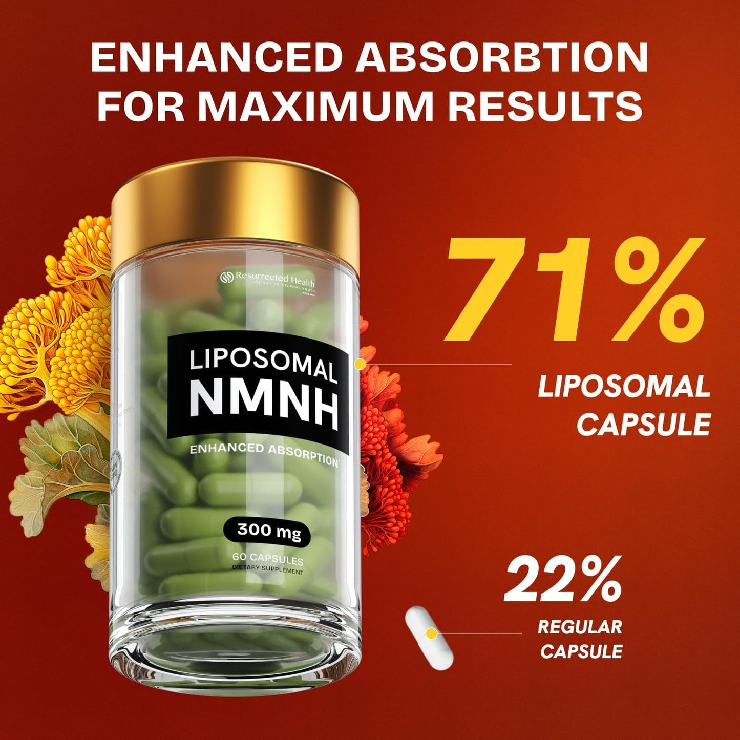 Liposomal NMNH Supplement 300mg – Boosts NAD Anti-Aging, Energy & Focus – NMM Capsules Alternative to for Cellular Vitality – Third-Party Tested, 60 Vegan Capsules | 1 Pack