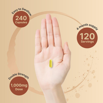 NatureBell Quercetin 1000mg Per Serving | 240 Capsules, Ultra Strength Quercetin