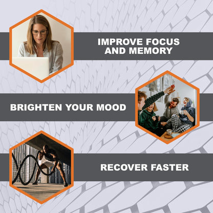 Cover Three Brain Assist Brain Supplement, Nutritional Focus Supplement with Curcumin, Uridine, Orange Slice Liquid Brain Support Formula, High Performance Memory Supplements