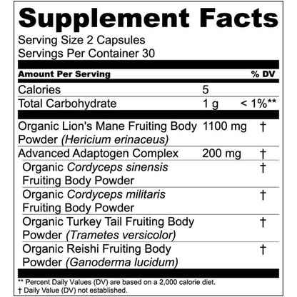Live Conscious Lions Mane Mushroom Supplement Capsules for Brain Support w/Lion's Mane, Cordyceps, Reishi, and Turkey Tail Mushrooms - Cognitive Memory Supplement for Brain