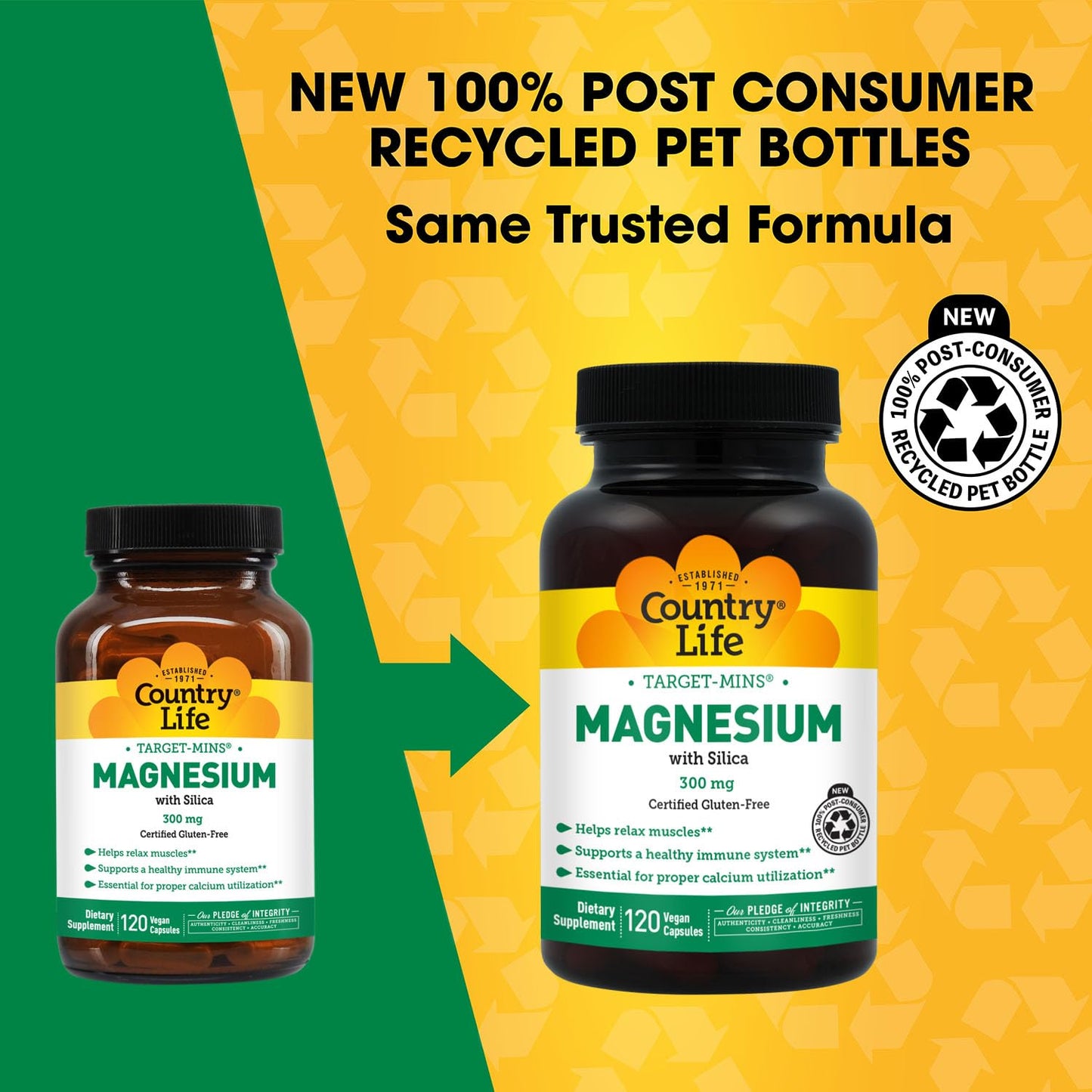 Target-Mins Magnesium with Silica 300 mg 120 Vegetarian Capsules | Vegan, gluten-free blend of 5 magnesium forms. Supports muscle, bone, and immune health