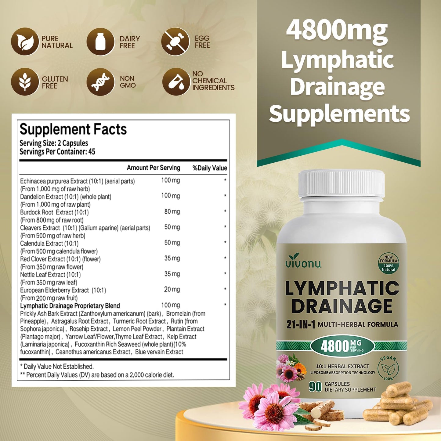 21-in-1 Liposome Lymphatic Drainage Supplements, 90 Day Supply, 4800mg Immune & Lymph System Support, 10:1 Concentrated Technology, Echinacea, Dandelion, Burdock, Bromelain, Calendula, 2 Bottle