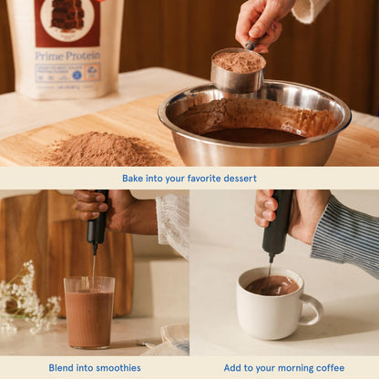 Equip Prime Chocolate Protein Powder - Gut-Friendly, No Sugar Protein Shake Powder with Grass-Fed Beef & Natural Collagen - Rich & Creamy Mix - 21g Per Serving - Whey & Dairy-Free (30 Scoops)