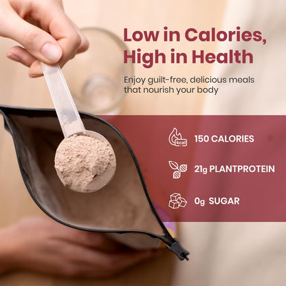 UpNourish Chocolate Vegan Protein Powder 54 Superfoods Powder,1.5 Billion CFU Probiotics 21g Plant Based Protein,No Sugar No Dairy No GMO Dairy Free,Meal Replacement Shake Keto-Friendly Low-Carb Diet,15 Servings