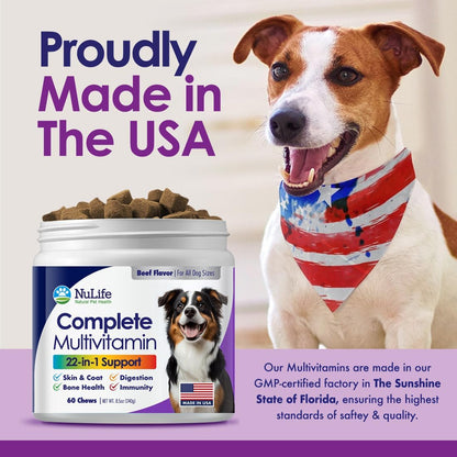 Dog Multivitamin Chewable - 22 in 1 Dog Vitamins and Supplements with Green Lipped Mussel & Omega 3 for Joints, Skin & Coat, Immune System - Senior & Puppy Multivitamin for Dogs - 60 Beef Chews