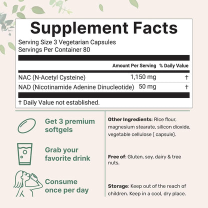 Micro Ingredients NAC with NAD+, 240 Vegetarian Capsules | 1,200 mg Per Serving | 2-in-1 N-Acetyl-L-Cysteine with Nicotinamide Adenine Dinucleotide | Non-GMO, cGMP Manufactured