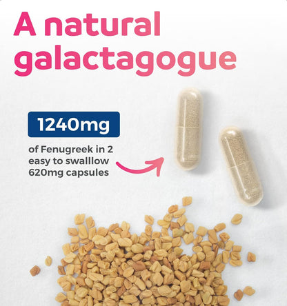 USDA Organic Fenugreek Capsules for Women - Effective Lactation Supplement for Increased Breast Milk Supply - Herbal Breastfeeding Support for Mothers - Gluten Free - 60 Vegan Capsules (No Pills)