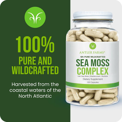 Antler Farms Sea Moss Complex - Bladderwrack, Burdock Root, 130 Capsules | Wildcrafted Irish Sea Moss, Bladderwrack, and Burdock Root, for Wellness, Vegan-Friendly, Gluten, Soy, and Dairy Free