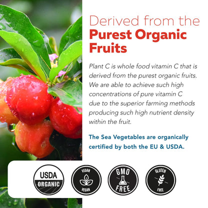 Organic Vitamin C | Whole Food Vitamin C from Fruit Plus Absorption Enhancing Cofactors - Vegan, Enhanced Bioavailability - Immune Support, Antioxidant, Total Health (90 Servings)