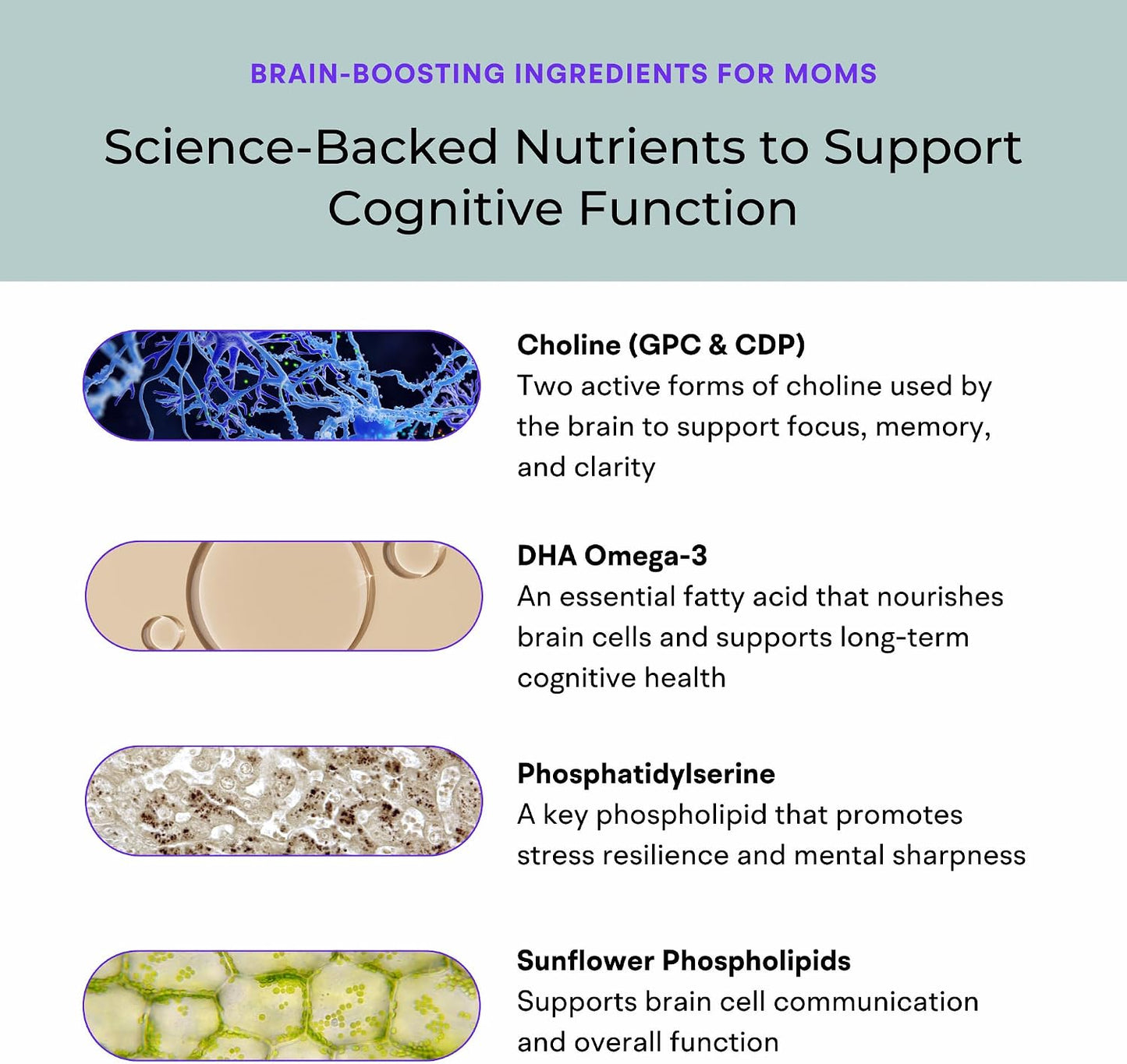 Mommy Brain Postnatal Supplement (60 Capsules) for Cognitive Health, Mood, Energy with GPC and CDP Choline, Phosphatidylserine, Omega-3 DHA