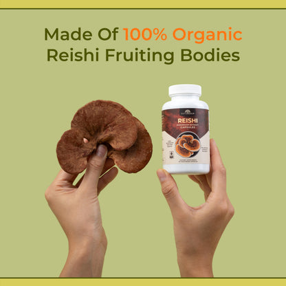 Naturealm - Reishi Capsules - Reishi Extract Restores Mind and Body - Improves Sleep
