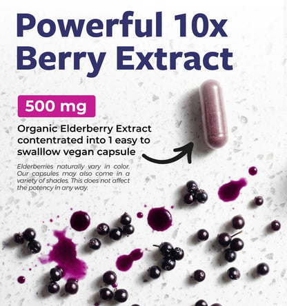 PURE CO Organic Elderberry 10:1 Extract 500mg Per 1 Capsule Serving - Vegan Black Elderberry Supplement for Immune Support, Allergy, Sinus Relief - Sambucus Nigra - 30 Caps