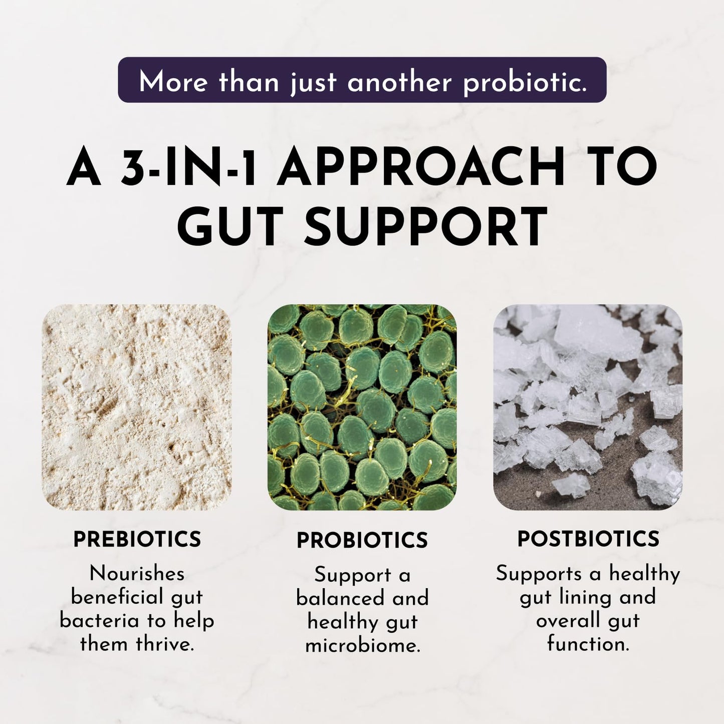 JUST INGREDIENTS Elderberry Lemonade 3-in-1 Probiotic Complex - Prebiotics, Probiotics & Postbiotics - 30 Sticks