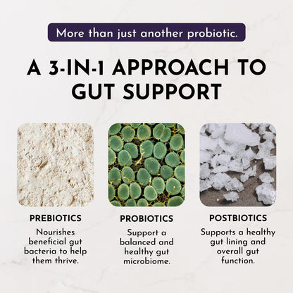 JUST INGREDIENTS Elderberry Lemonade 3-in-1 Probiotic Complex - Prebiotics, Probiotics & Postbiotics - 30 Sticks