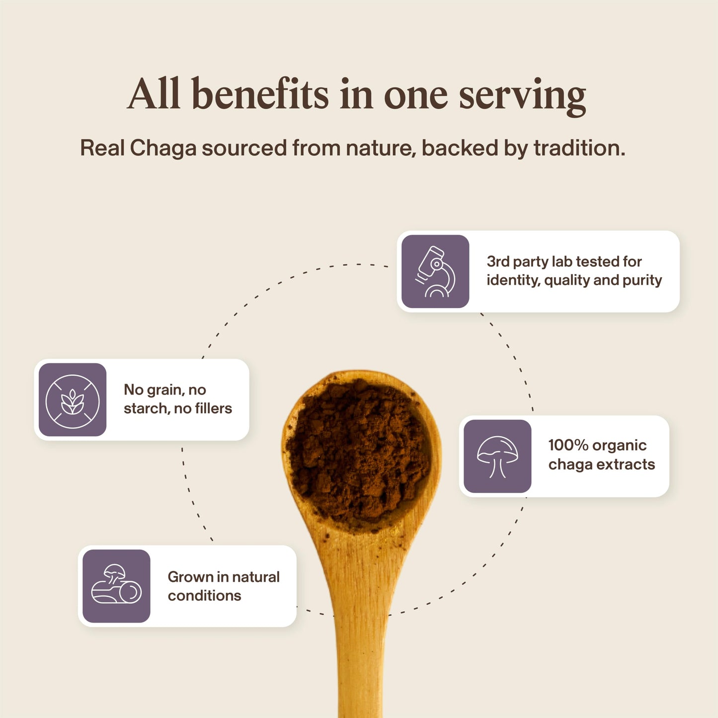 Real Mushrooms Chaga Mushroom Powder – Organic Chaga Extract from Fruiting Body – for Daily Wellness & Energy Support – Vegan, Non-GMO, 60 Servings Mushroom Supplement