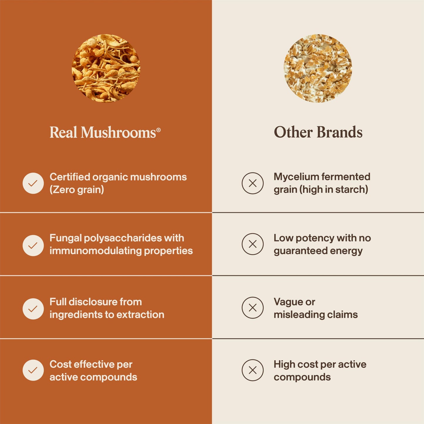 Real Mushrooms Supplement Capsules - Cordyceps Mushroom Powder Rich in Beta Glucans - Mushroom Pills Cordyceps for Energy and Performance - Vegan, Non-GMO, No Grain Fillers, 120 ct