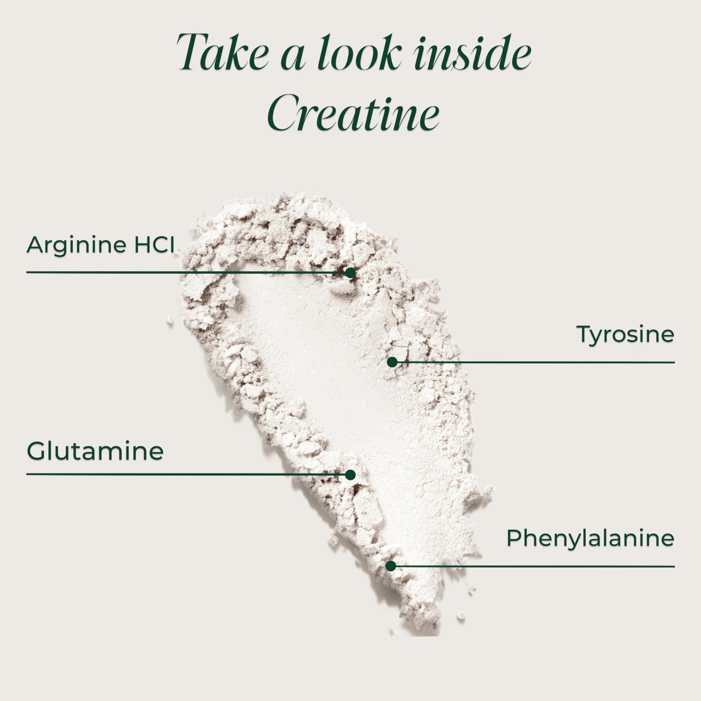 Primal Harvest Creatine - Daily Powdered Supplement, Gluten, Dairy & Soy Free
