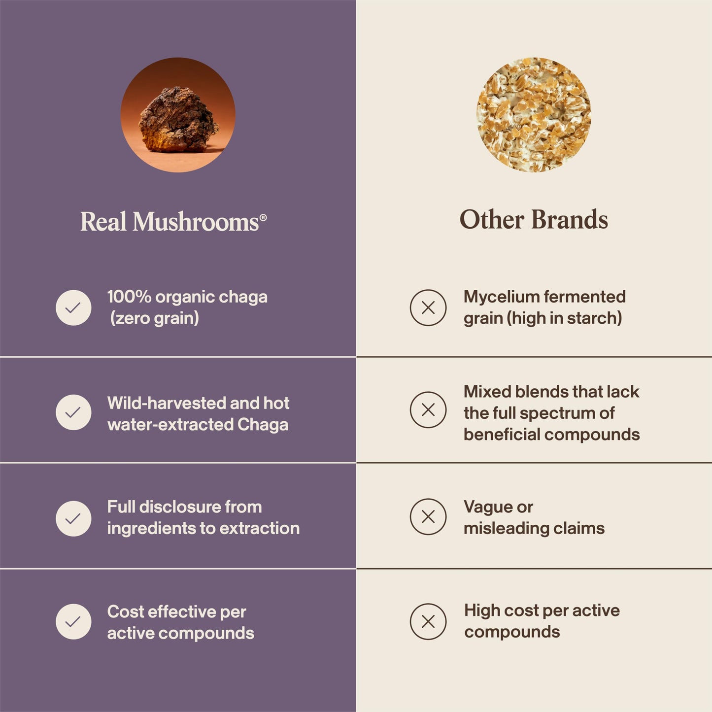 Real Mushrooms Chaga Mushroom Powder – Organic Chaga Extract from Fruiting Body – for Daily Wellness & Energy Support – Vegan, Non-GMO, 60 Servings Mushroom Supplement