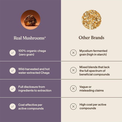 Real Mushrooms Chaga Mushroom Powder – Organic Chaga Extract from Fruiting Body – for Daily Wellness & Energy Support – Vegan, Non-GMO, 60 Servings Mushroom Supplement