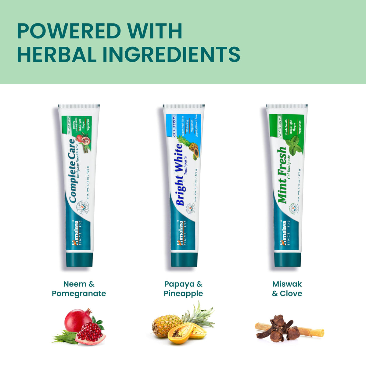 Himalaya Mint Fresh Gel Toothpaste, Fluoride Free to Reduce Plaque & Brighten Teeth, 6.17 oz, 2 Pack