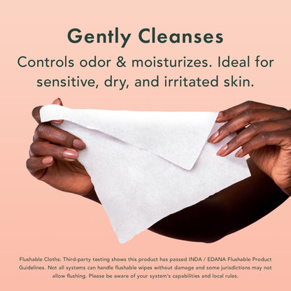 Rael Feminine Wipes, Soothing Wipes for Women - pH Balance, Clean Ingredients, All Skin Types