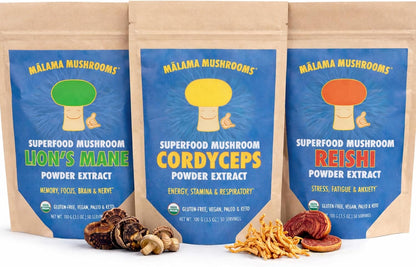 Malama All-Day Vitality Bundle – Lion’s Mane, Cordyceps & Reishi Mushroom Extract Powders – Organic Adaptogenic Superfood Trio for Focus, Energy & Relaxation – Vegan Supplements 3.5 oz (3-Pack)