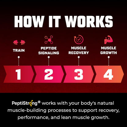 Huge Muscle Growth Peptides, Unique PeptiStrong® Peptide Complex, Clinically Studied, Supports Muscle Protein Synthesis, Strength, Performance & Recovery, Advanced Peptide Technology, 30 Servings