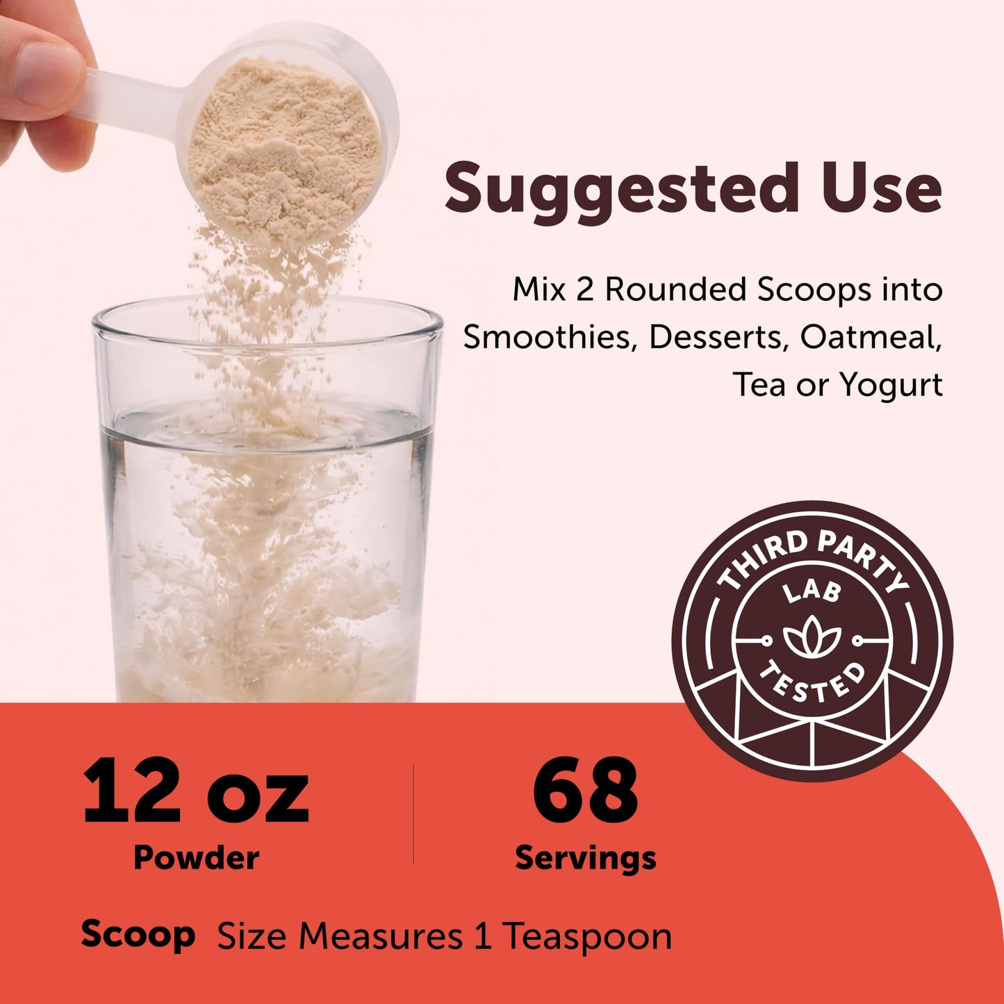 Micro Ingredients Organic Camu Camu Powder, 12 oz | Freshly Harvested Berry | Source of Naturally Occurring Vitamin C | Non-GMO, Vegan Friendly