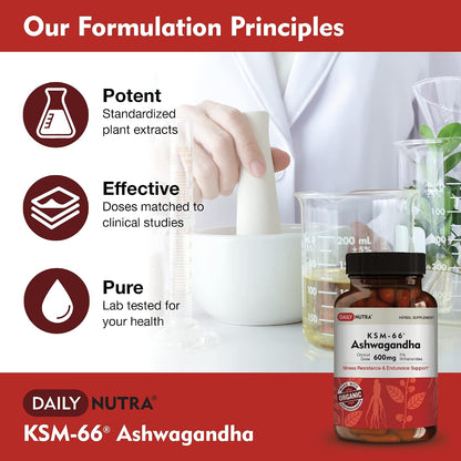 DailyNutra KSM-66 Ashwagandha 600mg Organic Root Extract - High Potency Supplement with 5% Withanolides | Relieves Tiredness, Supports Relaxation, Focus, Energy, & Muscle Growth (90 Capsules)