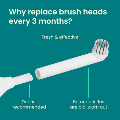 quip Rev Oscillating Electric Toothbrush Replacement Heads, Black, 4 Pack