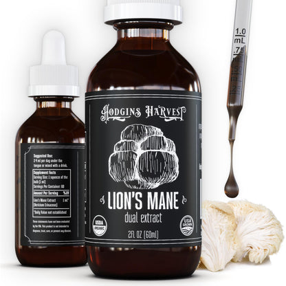 Hodgins Harvest Organic Lion's Mane Fruiting Body Extract Tincture - Mushroom Supplement for Brain Health and Mental Focus - Dual Extract Formula - Extra Concentrated - 4 fl oz Bottle